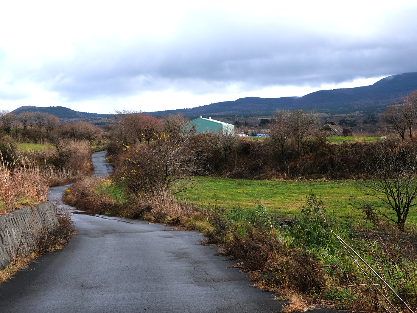 富士エコキャンプ場から河口湖チーズ工房までの道です。良い散歩道