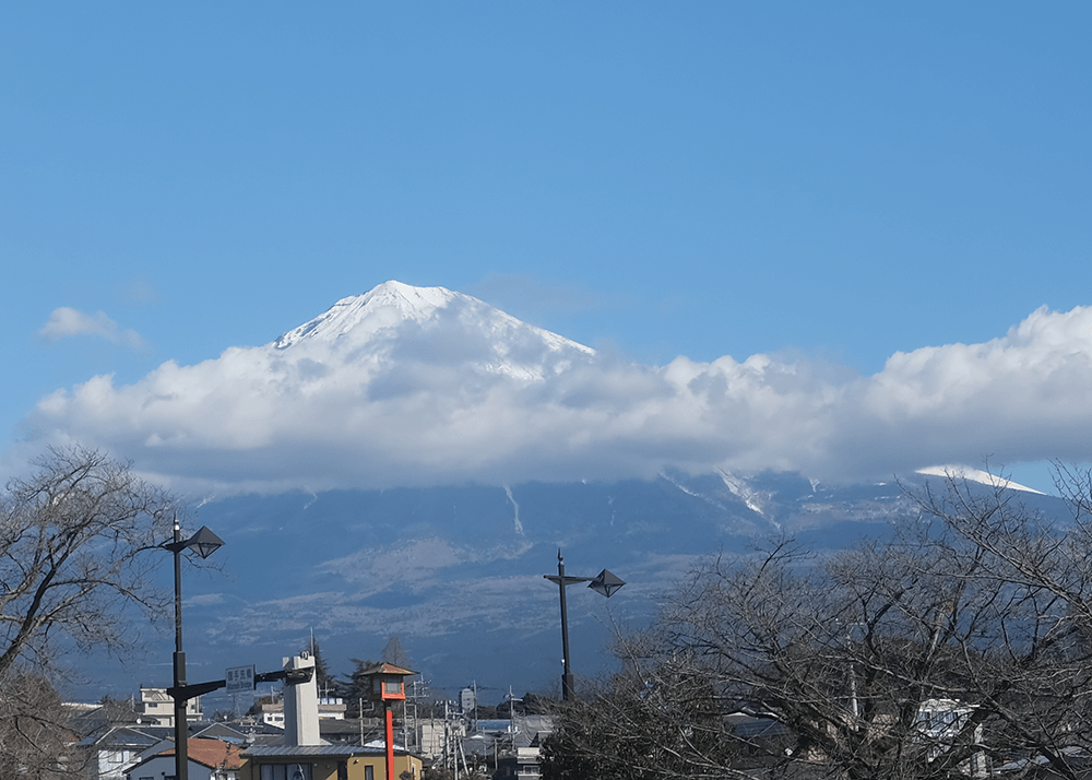 ブルワリーレストラン Mt.Fuji Brewing（マウントフジ ブリューイング）